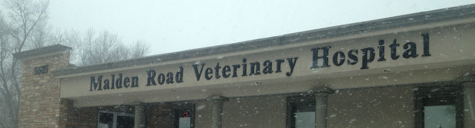 Malden Road Veterinary Hospital Windsor, Ontario